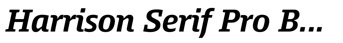 Harrison Serif Pro Bold Italic